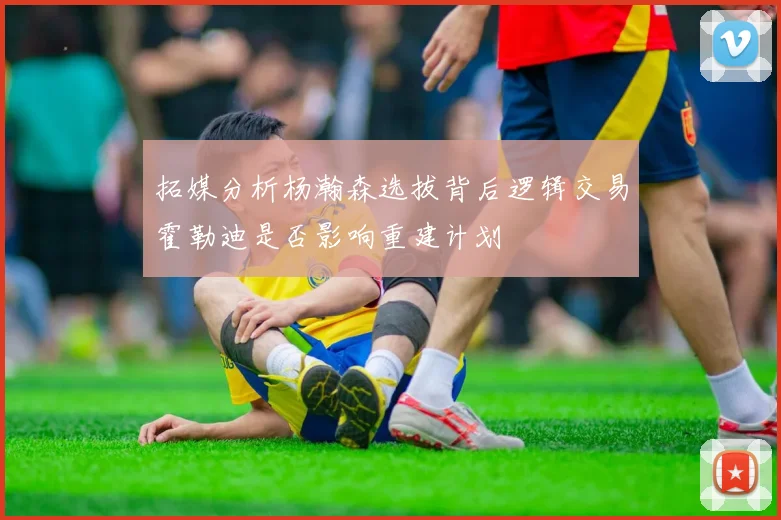 拓媒分析杨瀚森选拔背后逻辑交易霍勒迪是否影响重建计划