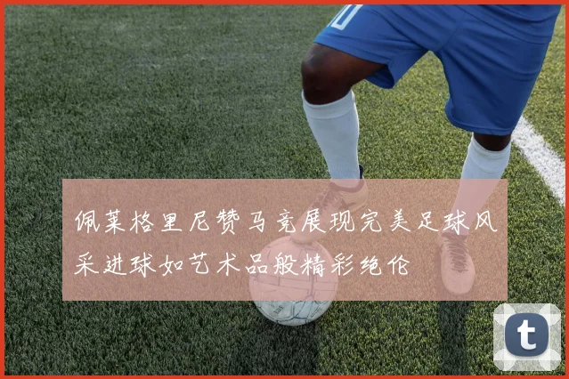 佩莱格里尼赞马竞展现完美足球风采进球如艺术品般精彩绝伦