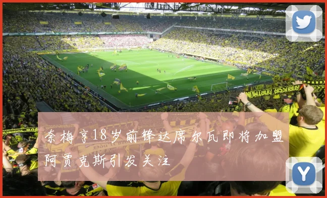 奈梅亨18岁前锋达席尔瓦即将加盟阿贾克斯引发关注