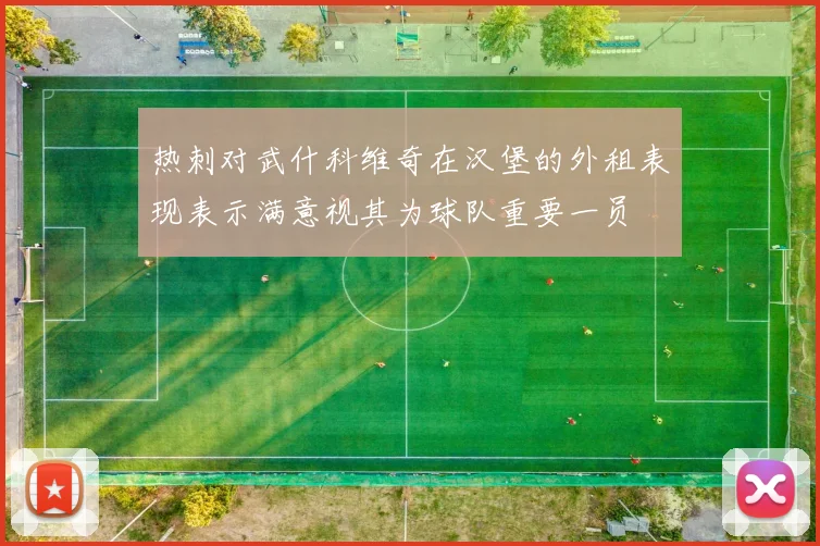 热刺对武什科维奇在汉堡的外租表现表示满意视其为球队重要一员